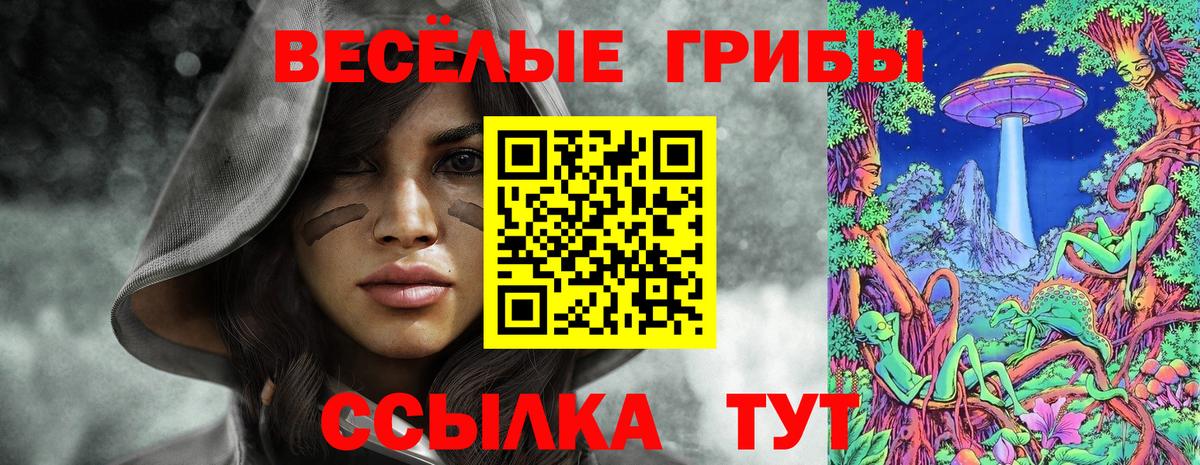 Галлюциногенные грибы Psilocybine cubensis  Вход с VPN  Серов 
